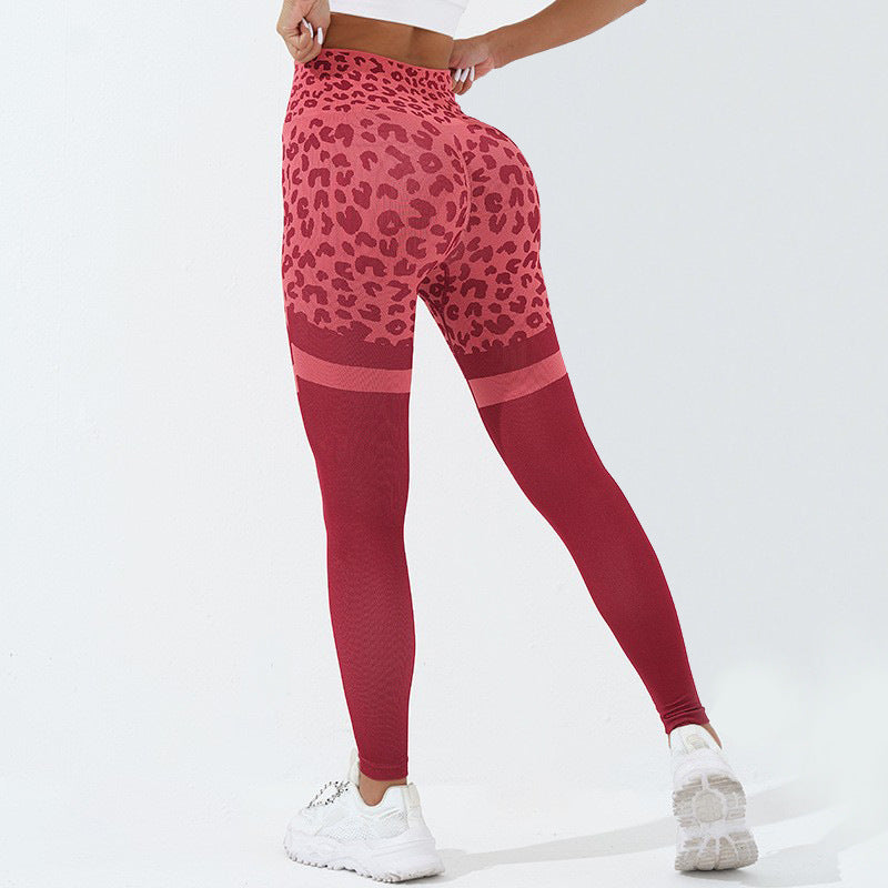 Leopard Sculpt Seamless Leggings
